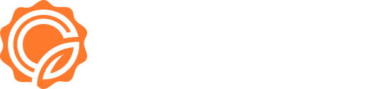 ZF Constructions